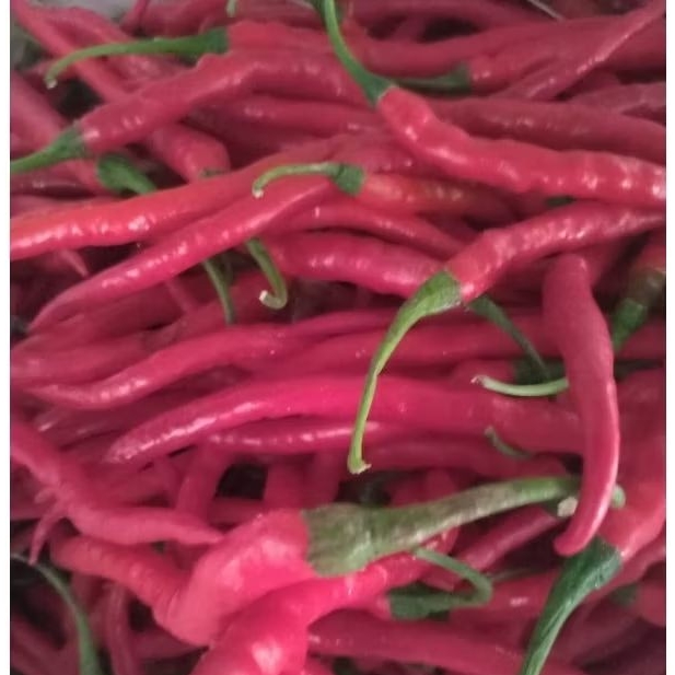 

Cabe merah keriting 1 kg