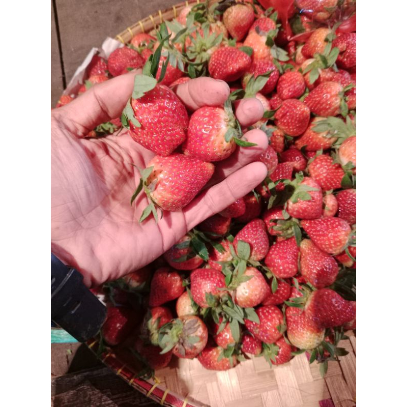 

buah strawberry stroberi 250gr mang sayur