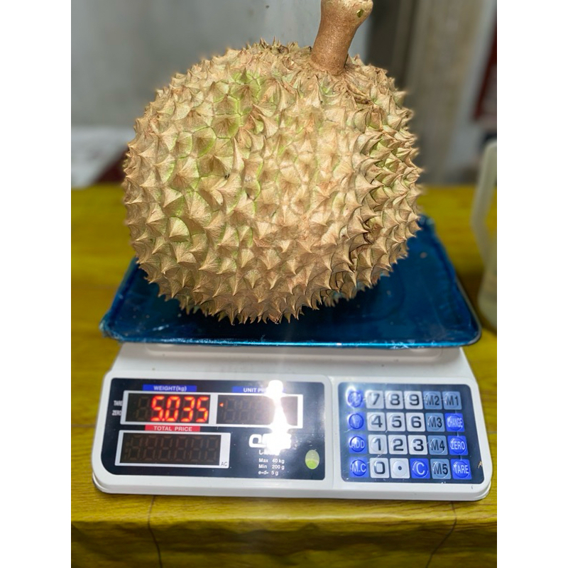 

Durian Montong Kualitas Premium Grade B, Maksud nya Grade B hanya berdasarkan berat produk ya ,bukan kualitas isinya .Isinya tetap premium dan joss.