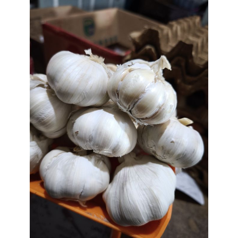 

bawang putih bawang merah