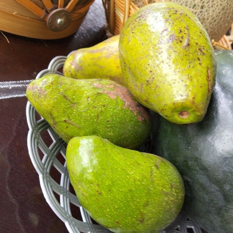 

Apukat segar pulen dan segar