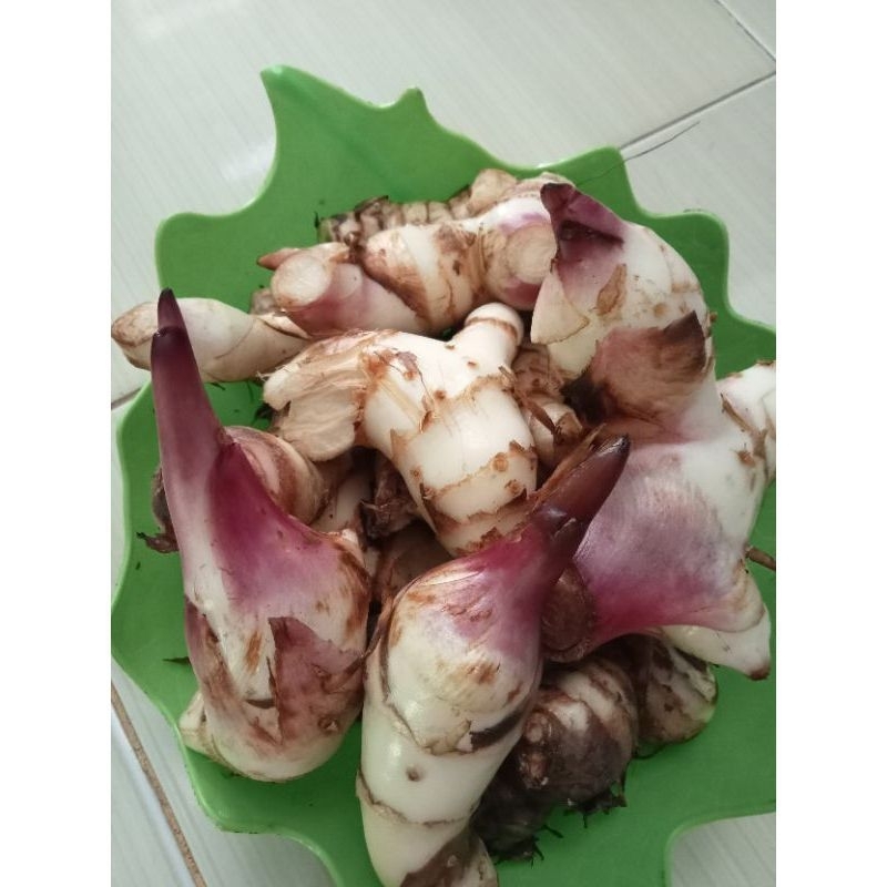 

Umbi gayong merah langka pulen 500gram