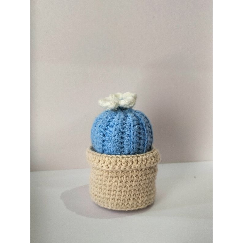 Organizer bentuk kaktus