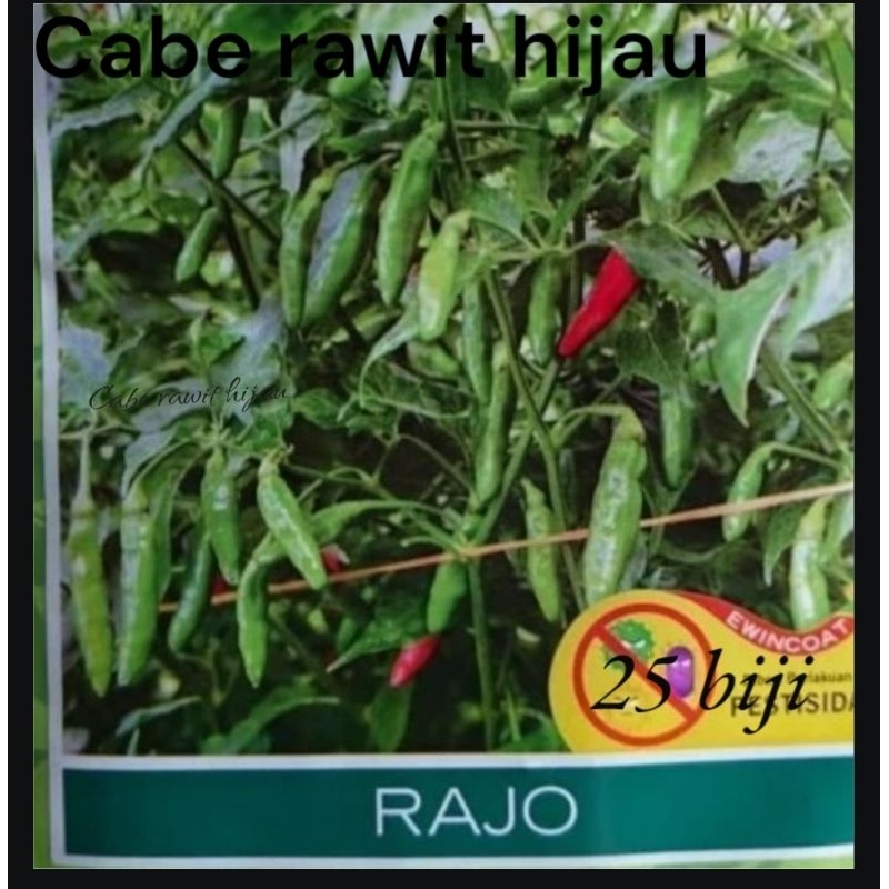 

25 biji /benih cabe rawit hijau RAJO dengan tipe buah menggantung