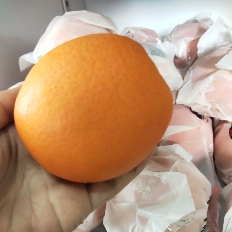 

Jeruk Sunkist / buah segar / parcel buah / parcel buah segar