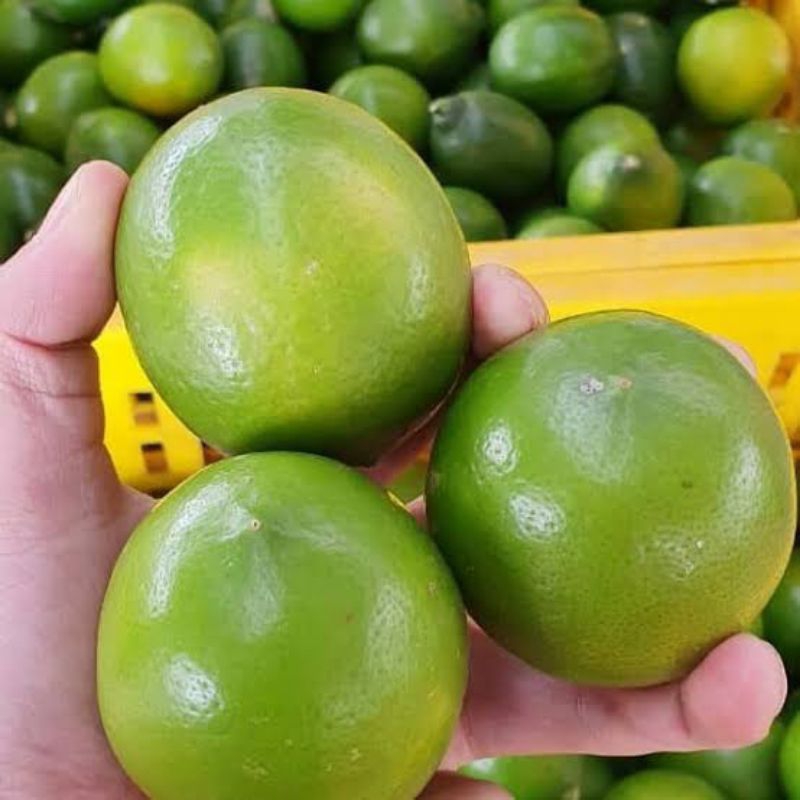 

Lemon california fresh