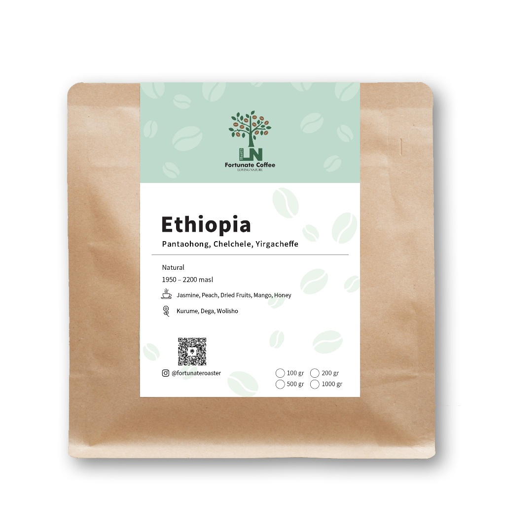 

Ethiopia Natural Pantaohong Chelchele Yirgacheffe Biji Kopi Arabika Roasted Coffee Beans 100 gram