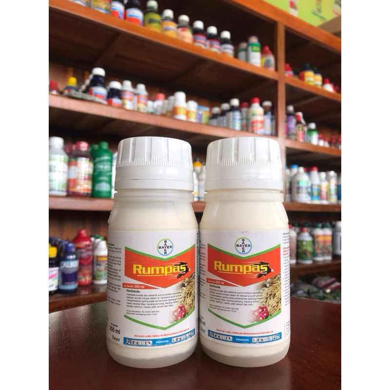 HERBISIDA RUMPAS 110 EW | RUMPAS BAYER | Fenoksaprop -p-etil 110 g/l | HERBISIDA SELEKTIF KACANG TAN