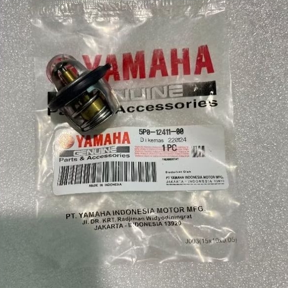 Thermostat Motor Xeon125 (5P0)