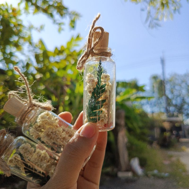 botol kaca hias botol souvenir botol bunga kering