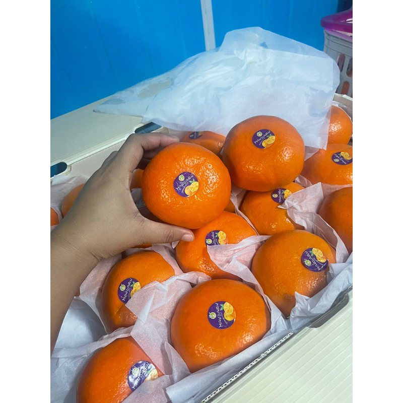 

BACA DESKRIPSI - WOGAN MANDARIN - marketkitabali