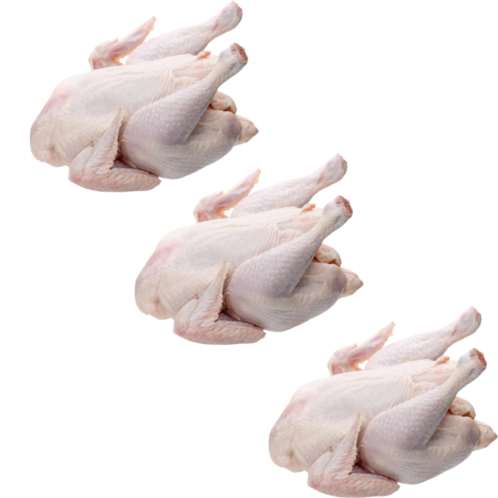 

Ayam Karkas 1 Ekor 600 - 700 gr - Sahabatdapur