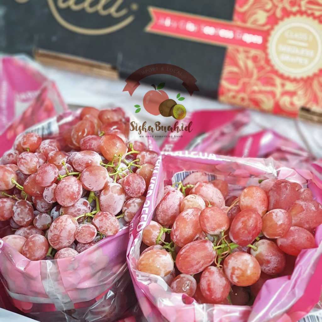 

ANGGUR MERAH | ANGGUR RALLY SEEDLESS - ANGGUR IMPORT FRESH