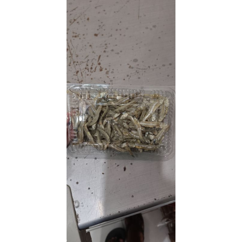 

Ikan Asin Teri Besar, Ikan Teri Medan dan Udang kecil