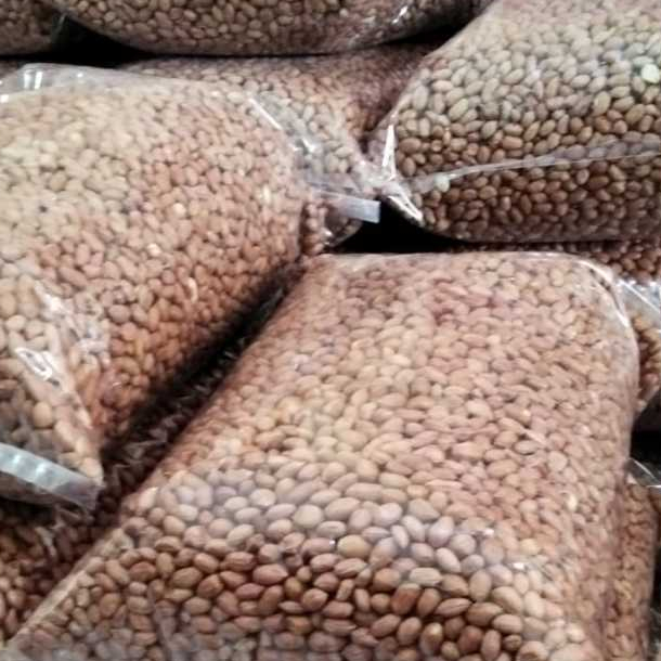 

GR KACANG TANAH BALI SUPER