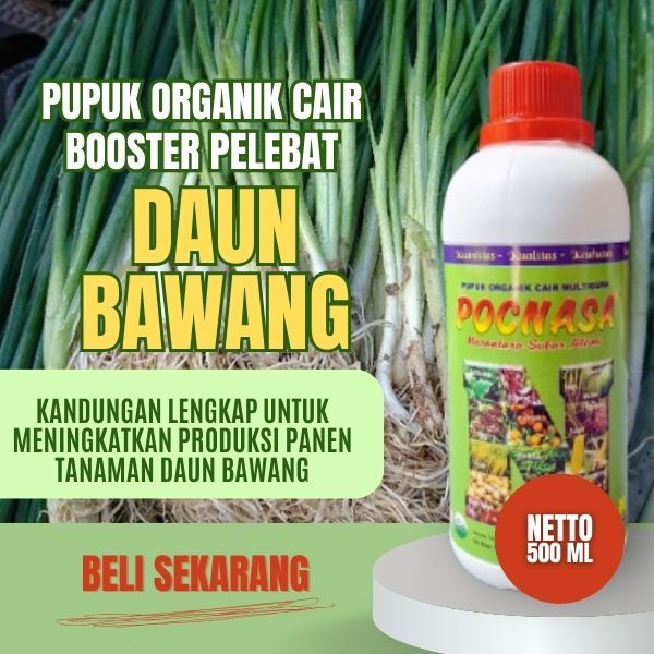 Pupuk Daun Bawang / Pupuk Daun Bawang Merah / Pupuk Daun Bawang Terbaik / Daun Bawang Putih Tunggal