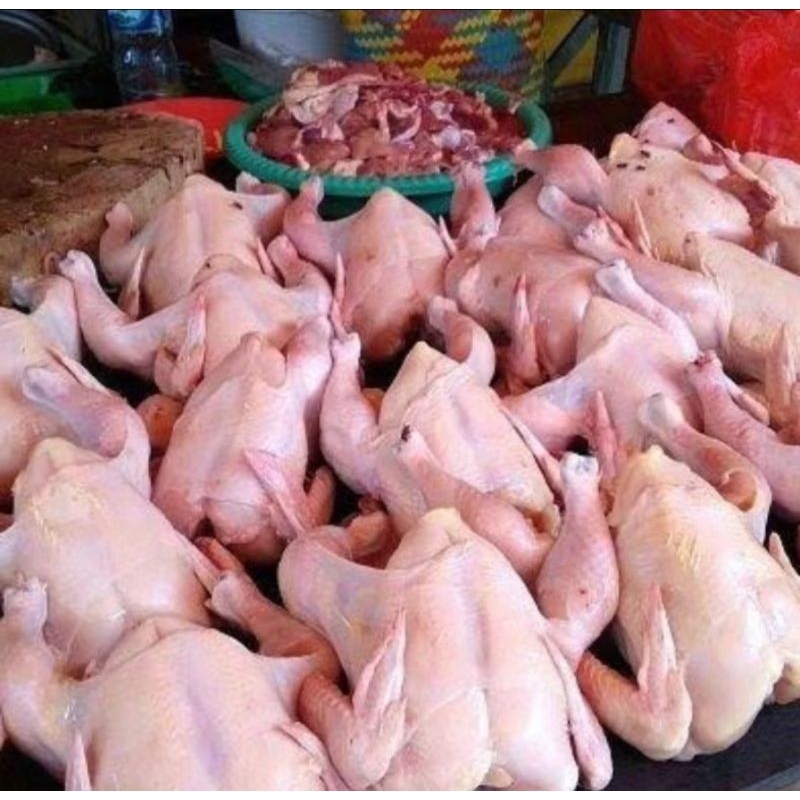 

Ayam potong boiler segar/ ayam negeri segar 500gram