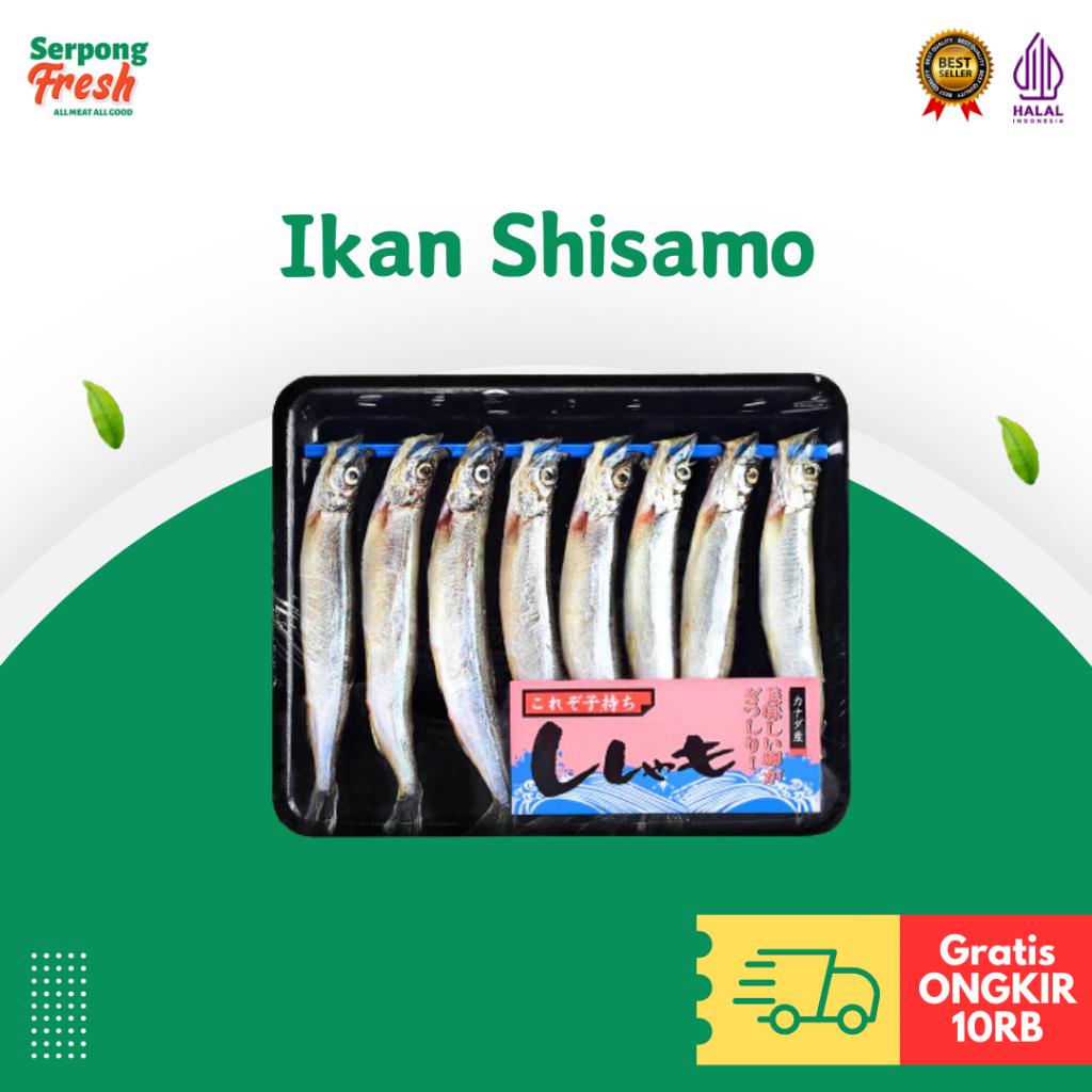 

Ikan Shisamo Frozen Capelin Shisamo Fish Beku Olahan Sishamo Sisamo