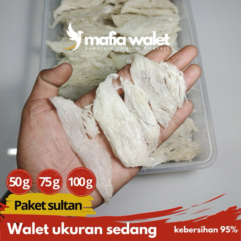 

Sarang walet bersih ukuran sedang | kemasan 50-100 gram | siap konsumsi | mengandung kolagen | termurah
