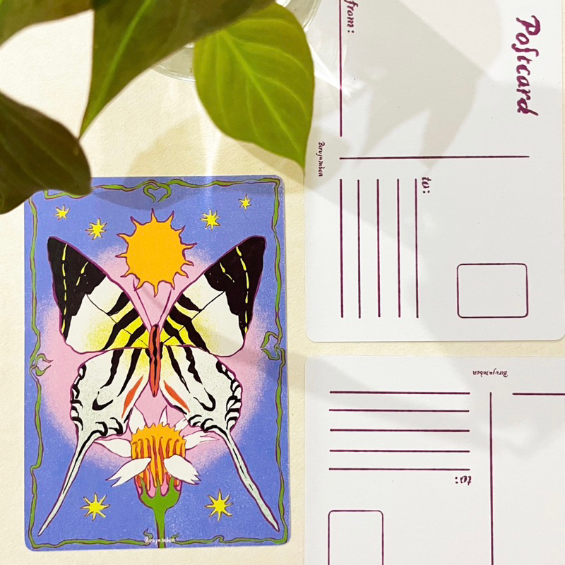 

Kupu-Kupu Matahari Bunga Postcard | Graphium androcles Postcard