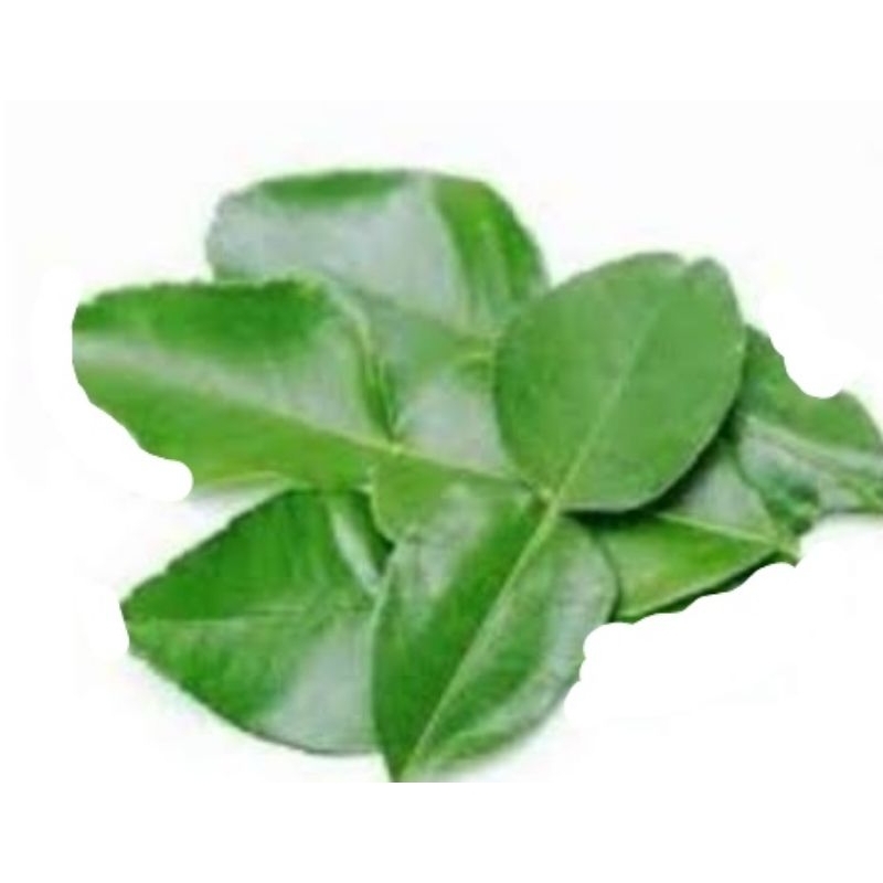 

Daun Jeruk Per Pack