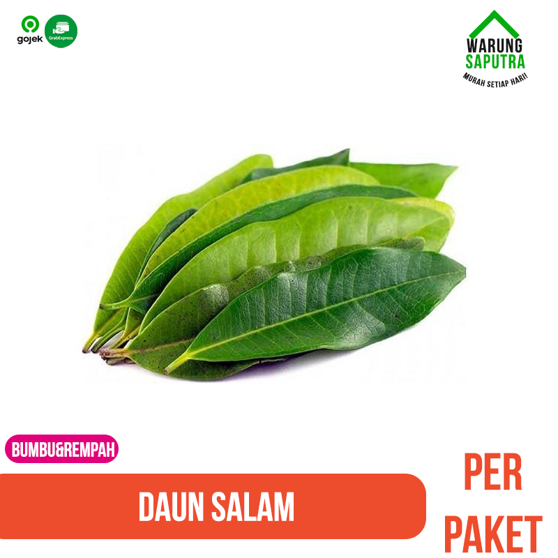 

Daun Salam Hijau Segar per paket