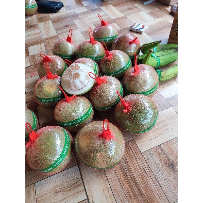 

Promo 5 buah Jeruk Pamelo Madu berat 600 gram - 800 gram jaminan manis bergaransi