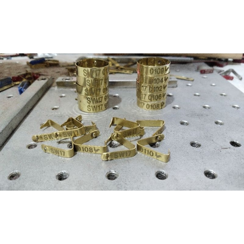 Leg band & wing band 10 pasang panel sayap dan kaki ayam