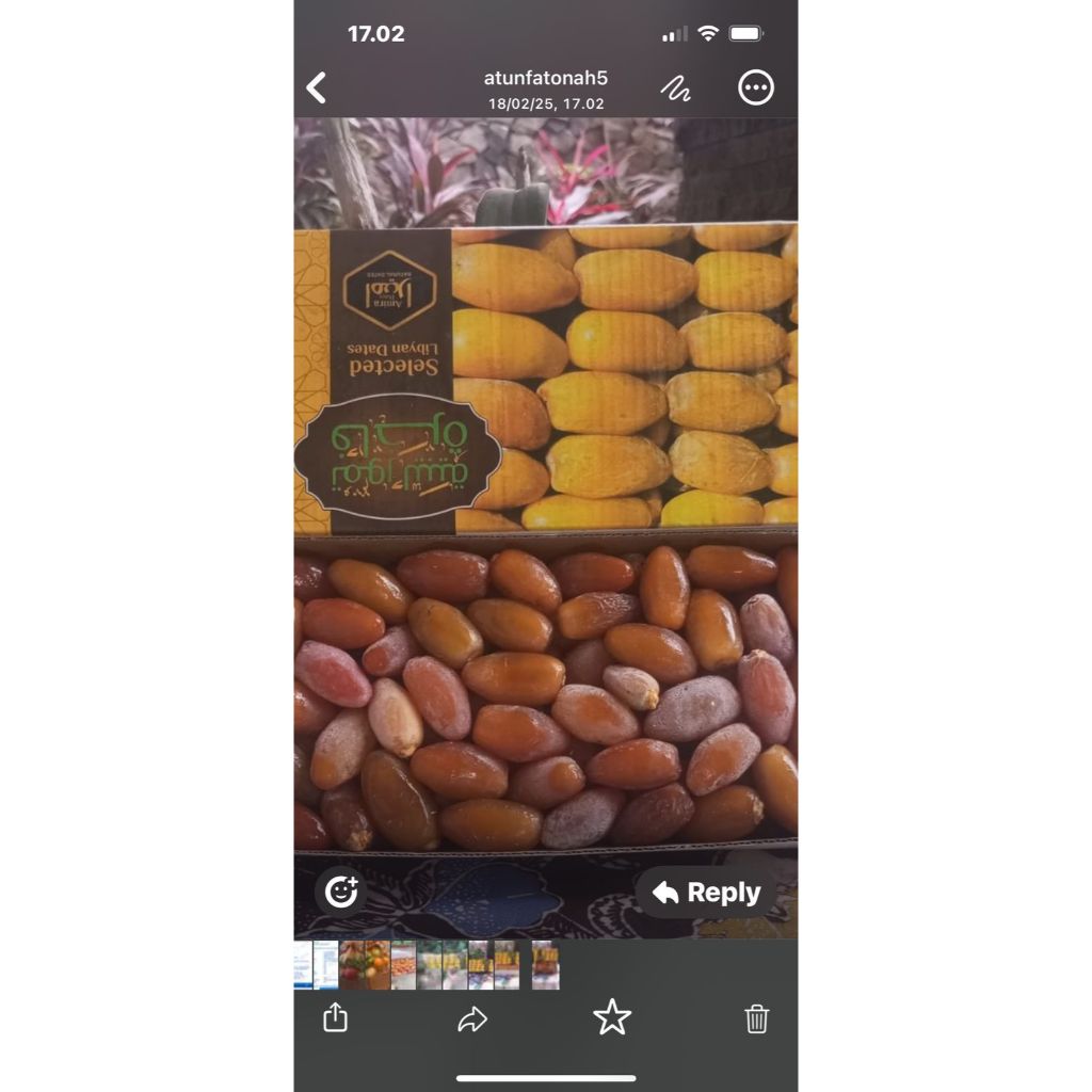 

Kurma Muda Ruthob Libya Buah Import Segar Pilihan