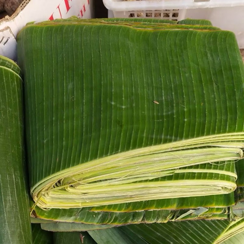 

Daun pisang fresh