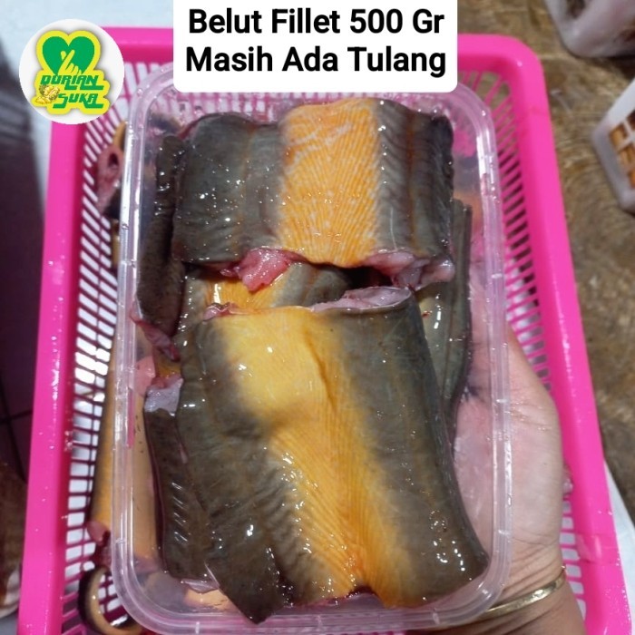 

Belut Fillet 500Gr (masih ada tulang)
