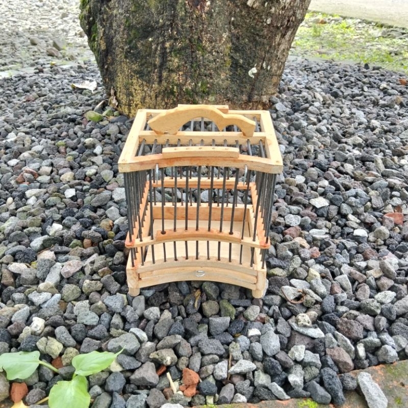 Sangkar Untulan Kayu Ukuran 15x13 cm Untuk Berbagai Sangkar Kapsul