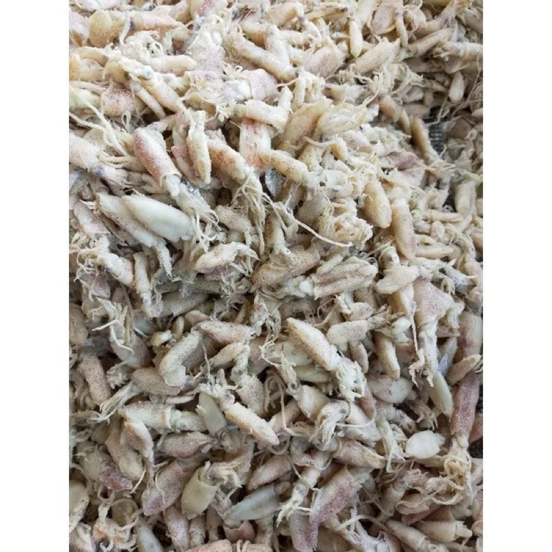 

Grosir Pack! Baby Cumi Pilihan Bersih ☑️