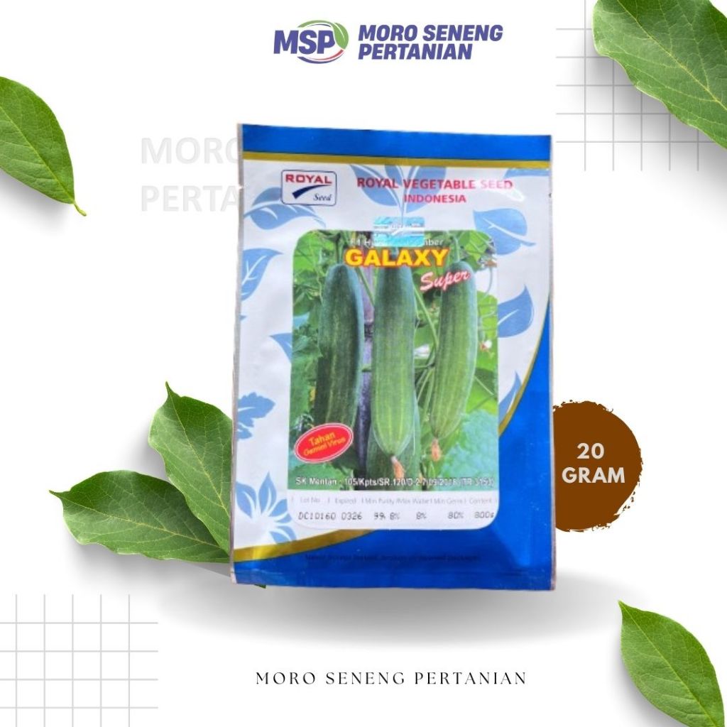 TIMUN GALAXY SUPER 800 SEED ROYAL AGRO