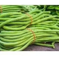 

Kacang Panjang