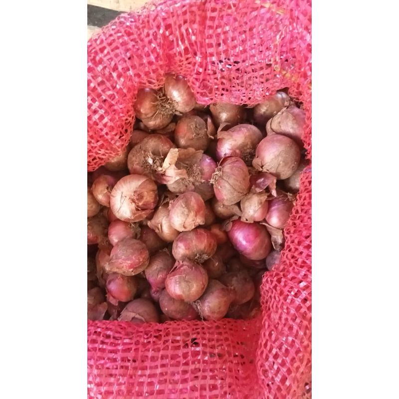 

Bawang merah premium
