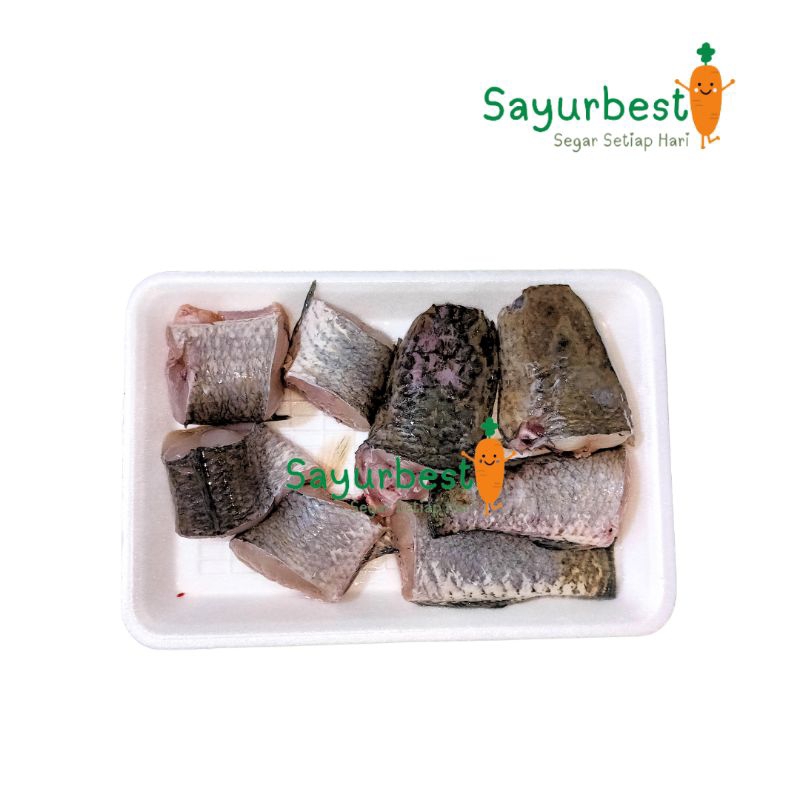 

(PO KIRIM BESOK) Ikan Gabus Potong Segar 500 Gram