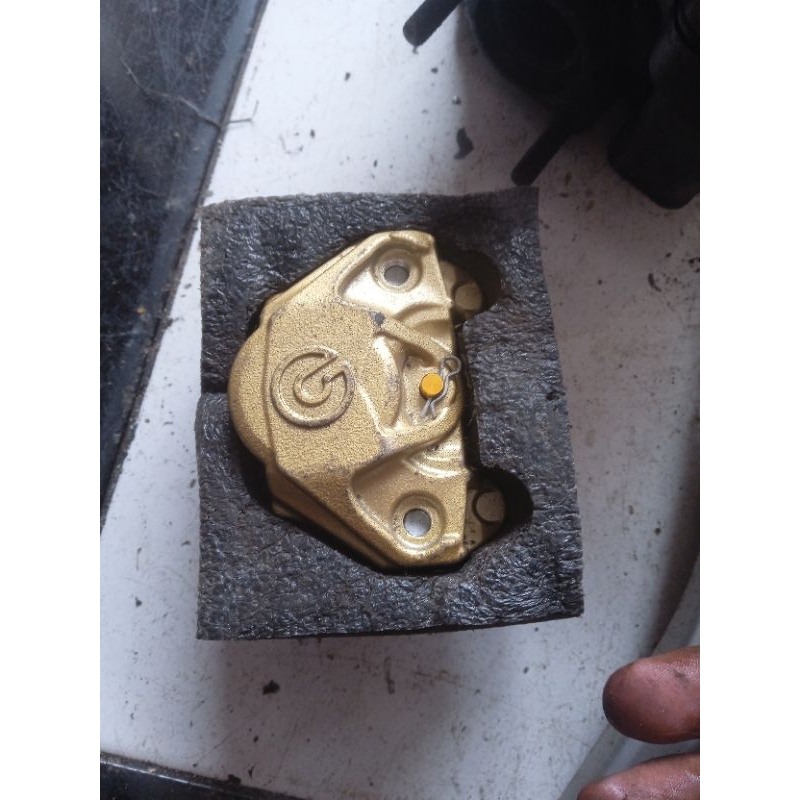 Pala babi Brembo kondisi baru