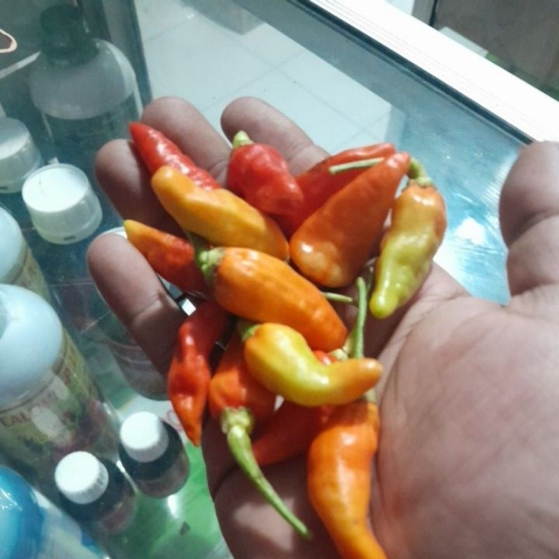 cabe rawit prentul 250grm
