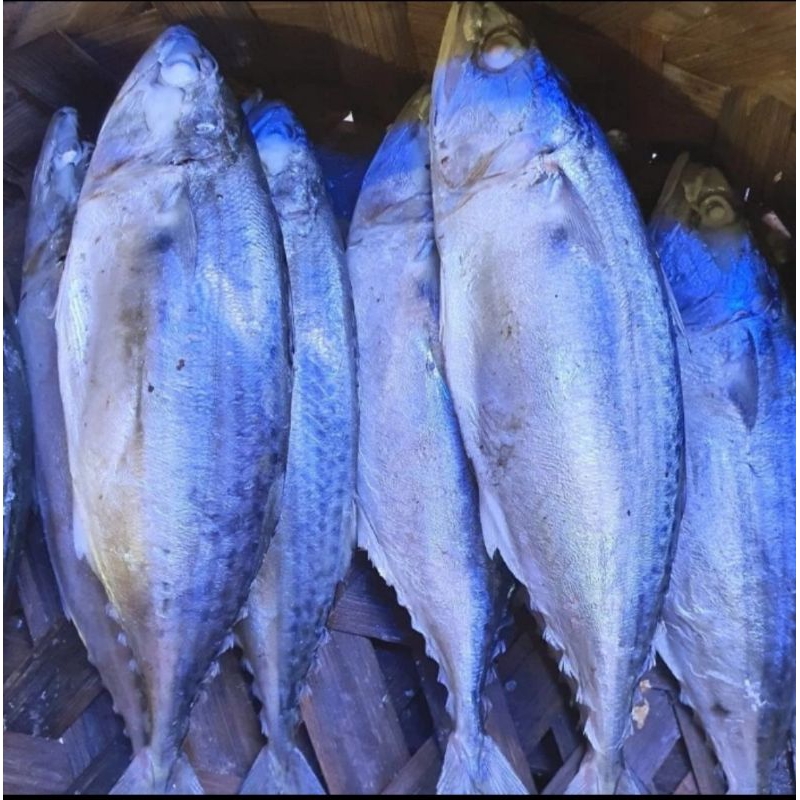 

Ikan Kembung Rebus Medan