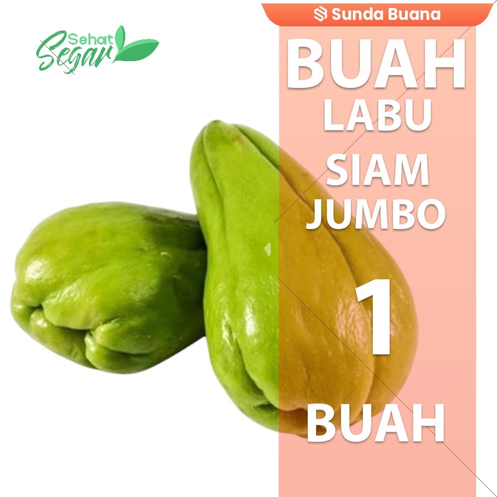 

Buah Labu Siam Jumbo Super Enak Fresh per butir