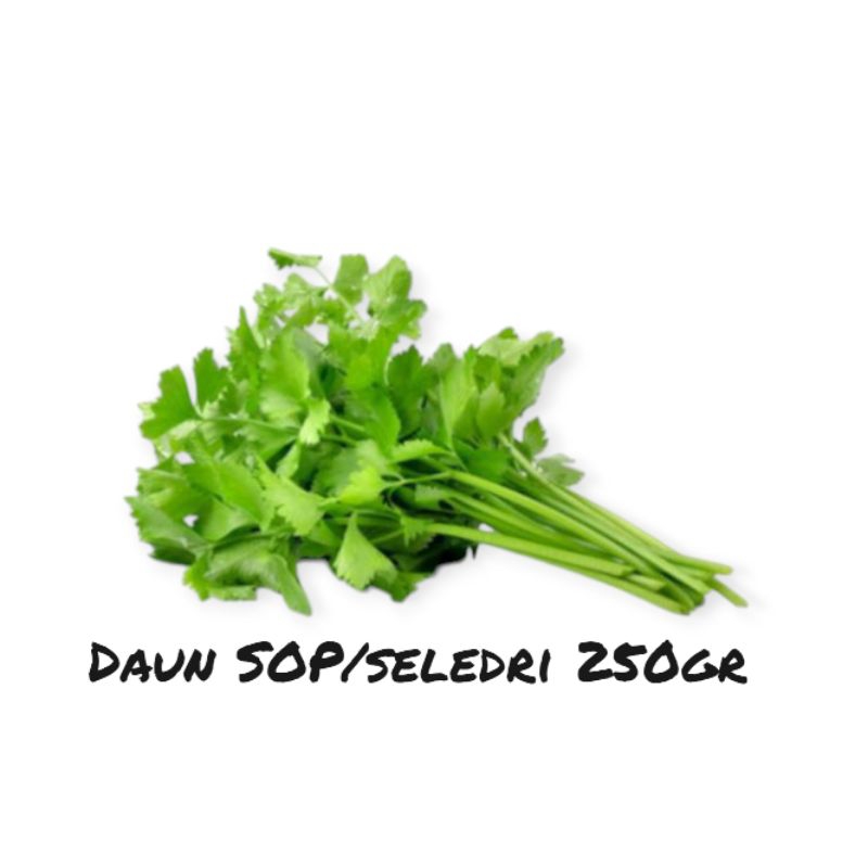 

sayuran seledri/daun SOP 250gr