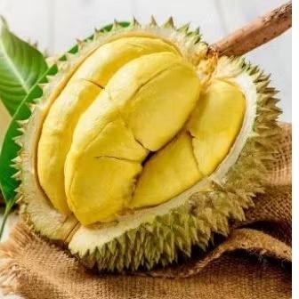 

durian montong cane singaraja