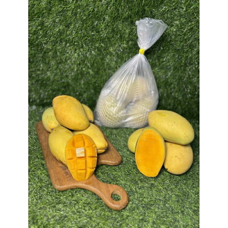 

MANGGA LOK MAY THAILAND