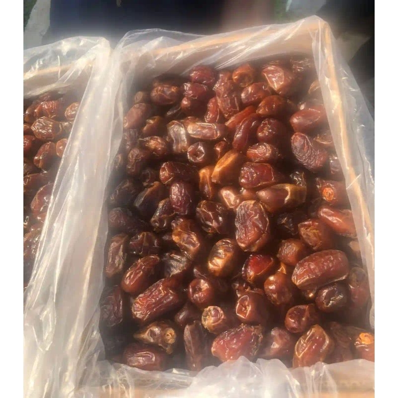 

Kurma mesir golden valley 10 kg
