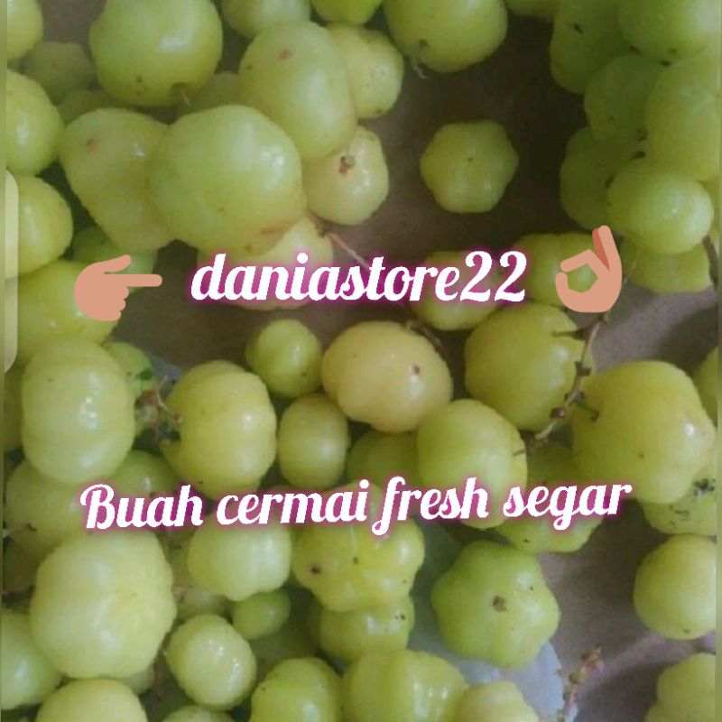 

Buah Cermai 500 Gram