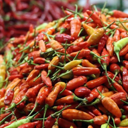 

Cabe/Cabai Rawit Merah Ori Fress Berat 1 KG Termurah