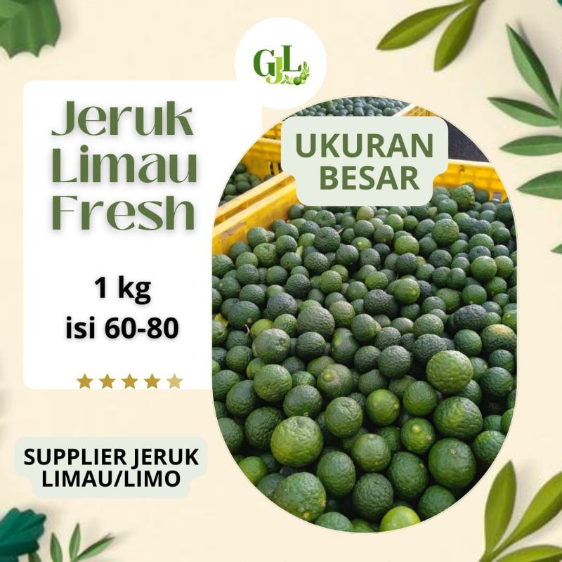 

Grosir Jeruk Limo/limau/sambel Ukuran Besar 1 Kg