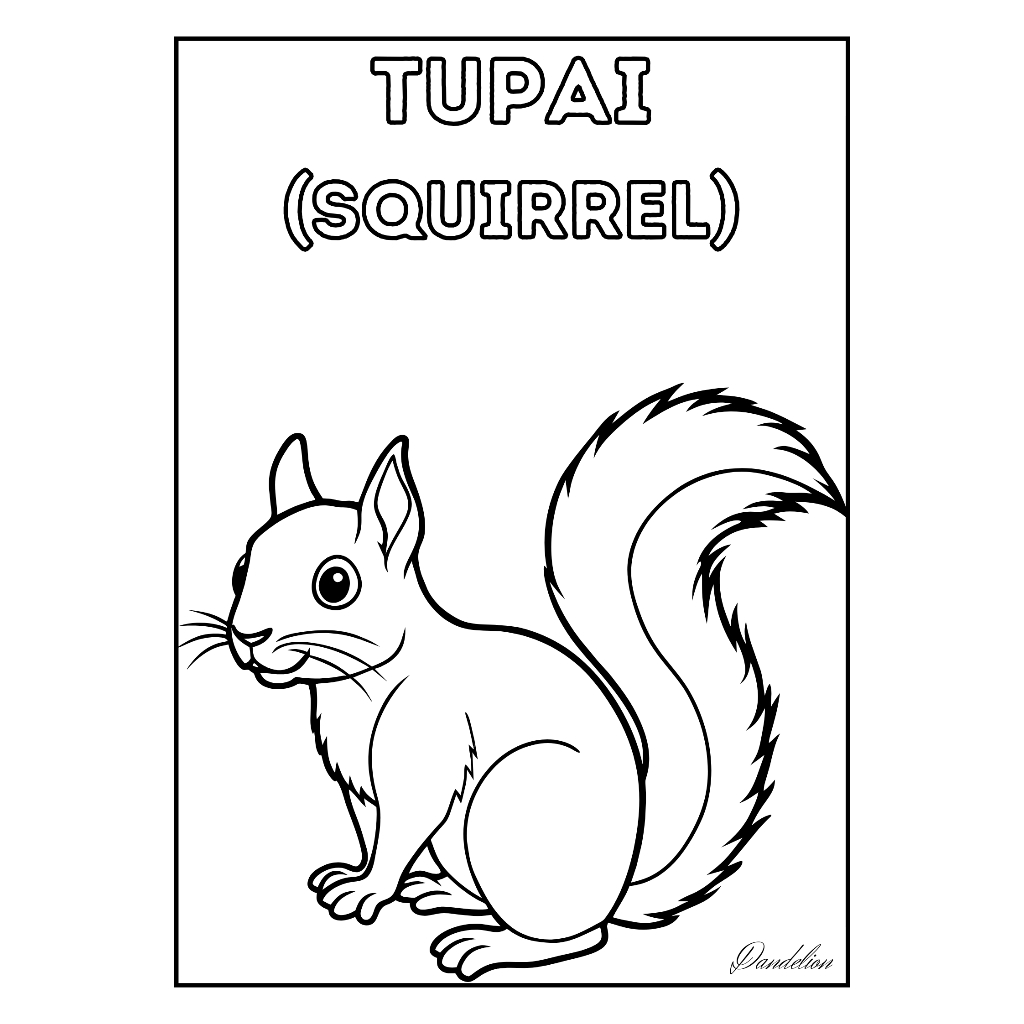 

Kertas Mewarnai: Tupai (Squirrel)