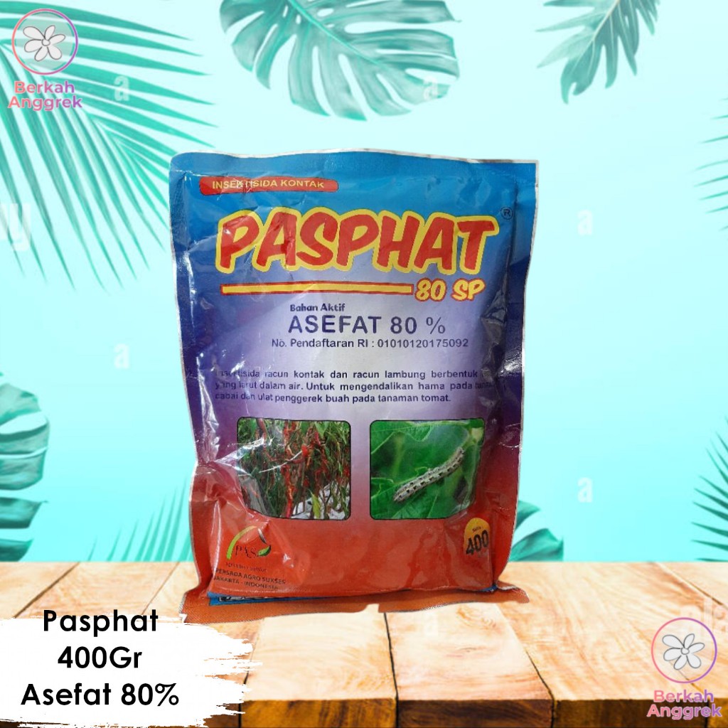 Pasphat Prosefat 400 Gram Insektisida Asefat
